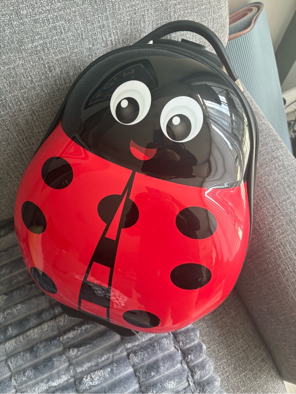 Heys Ladybug Kids Carry-On Hardshell Luggage